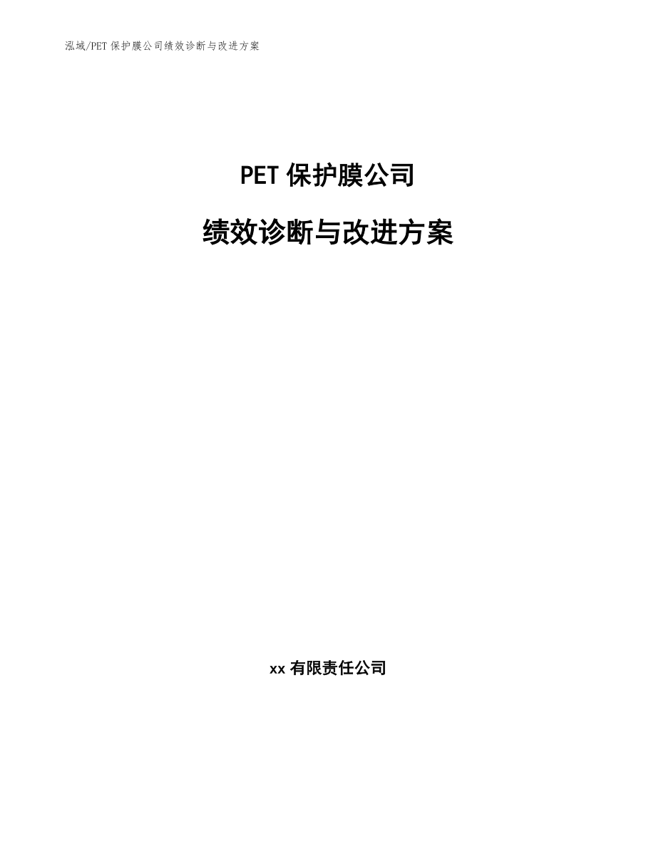PET保护膜公司绩效诊断与改进方案_参考_第1页