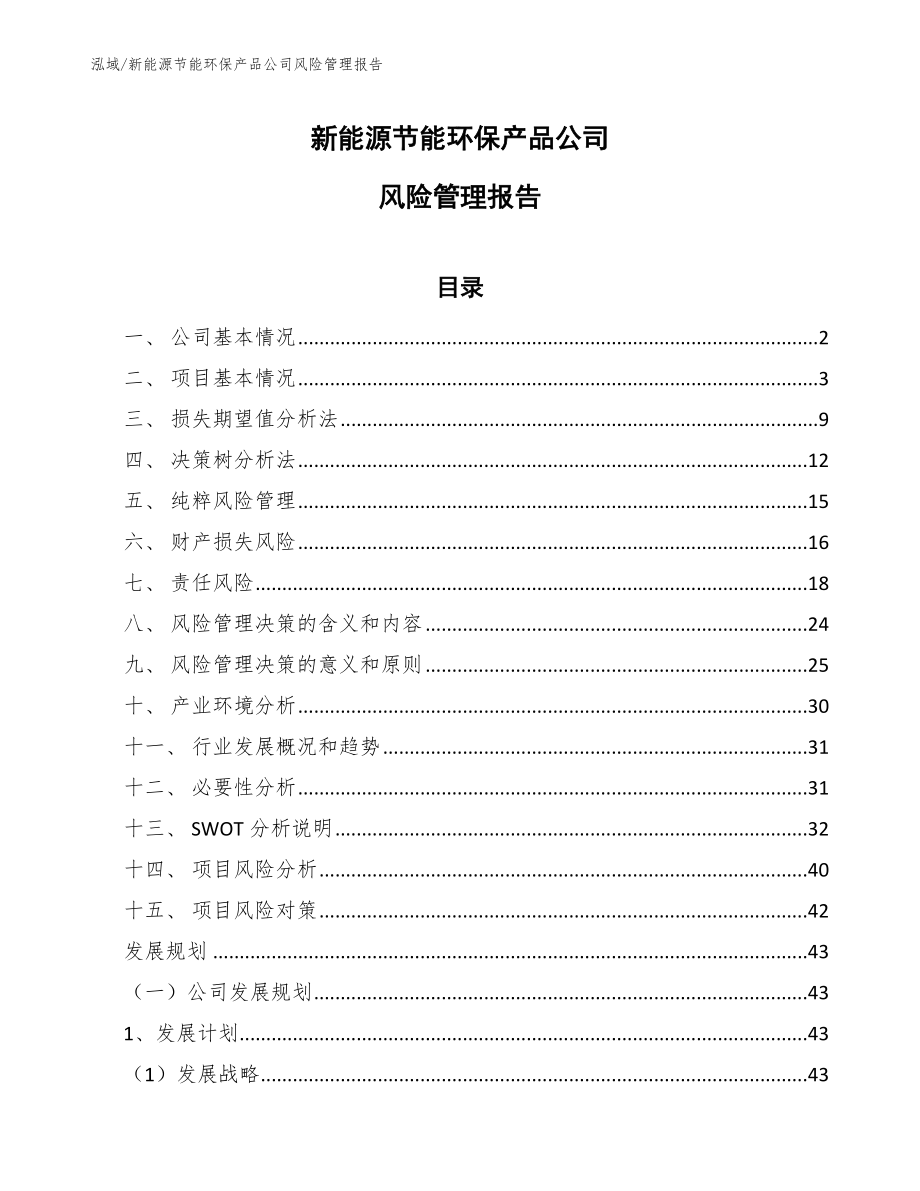 新能源节能环保产品公司风险管理报告_第1页