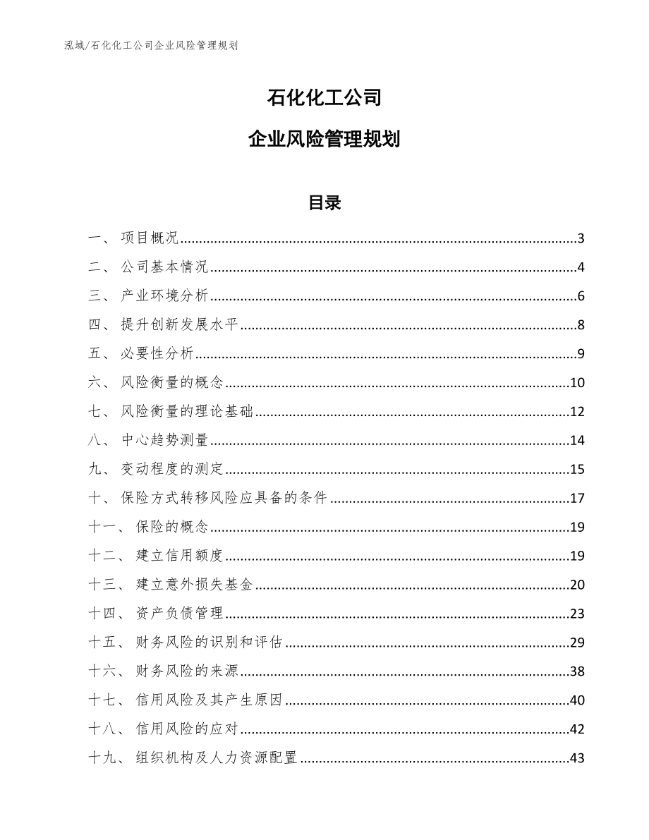 石化化工公司企业风险管理规划_范文_第1页