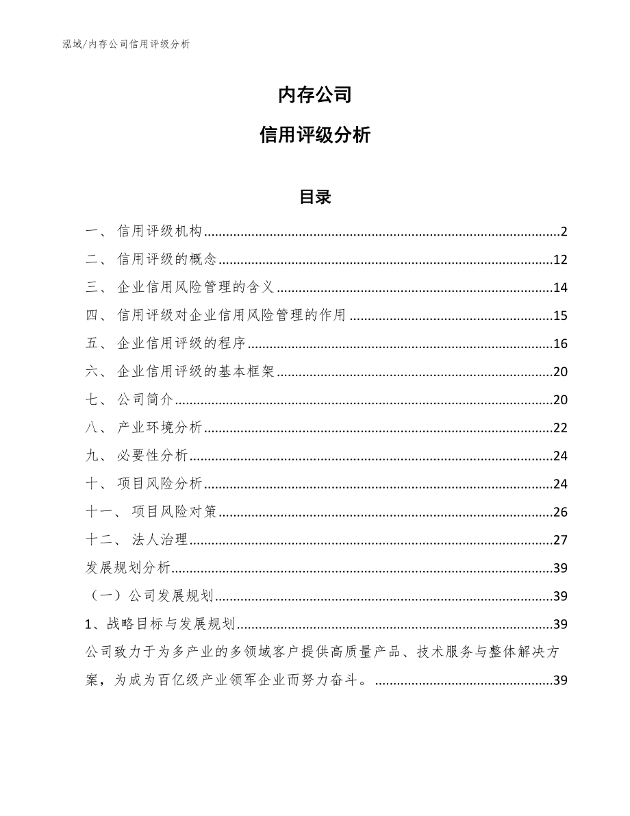 内存公司信用评级分析_第1页