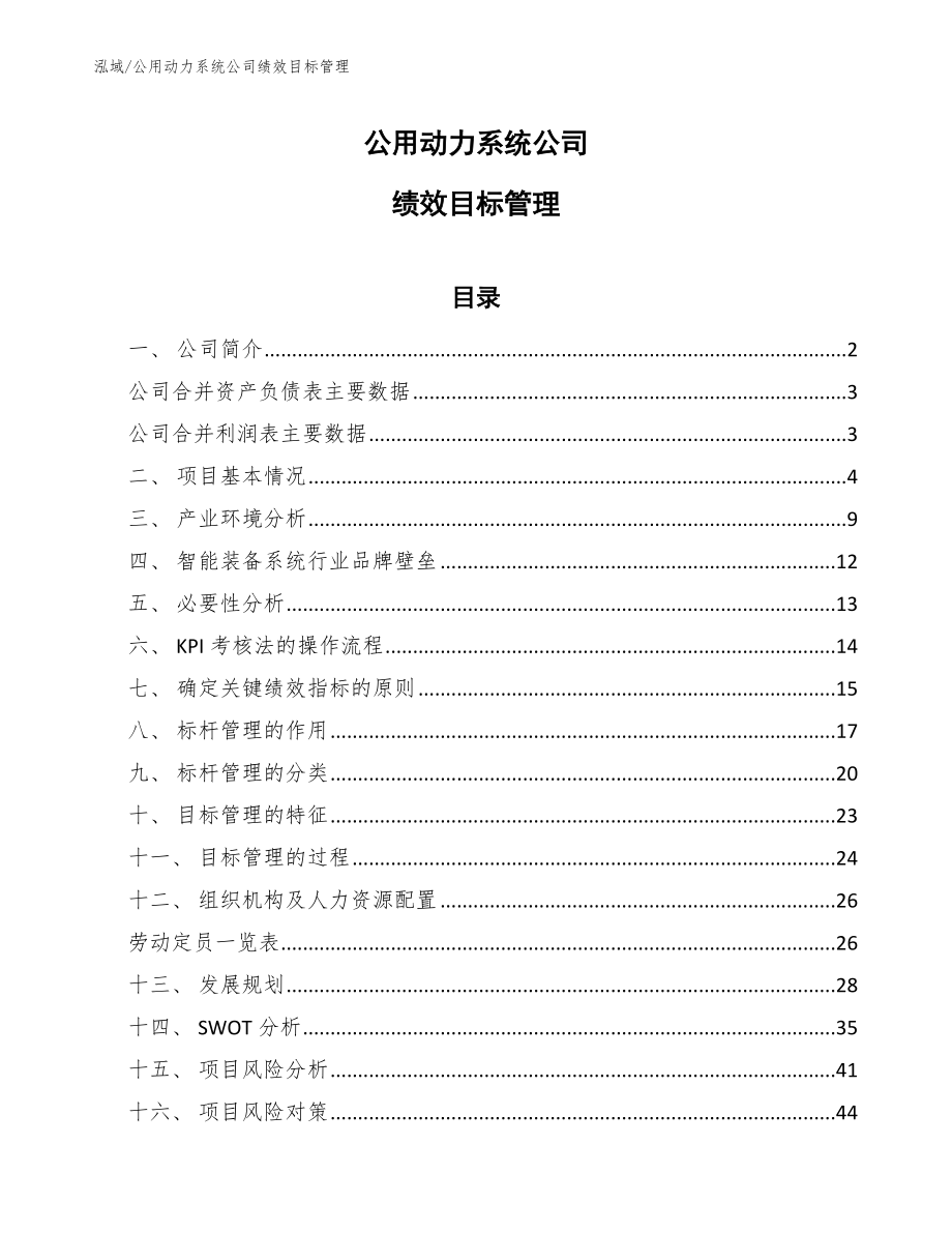 公用动力系统公司绩效目标管理_第1页