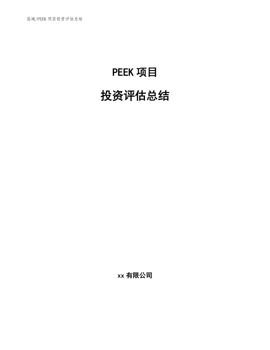 PEEK项目投资评估总结_范文_第1页
