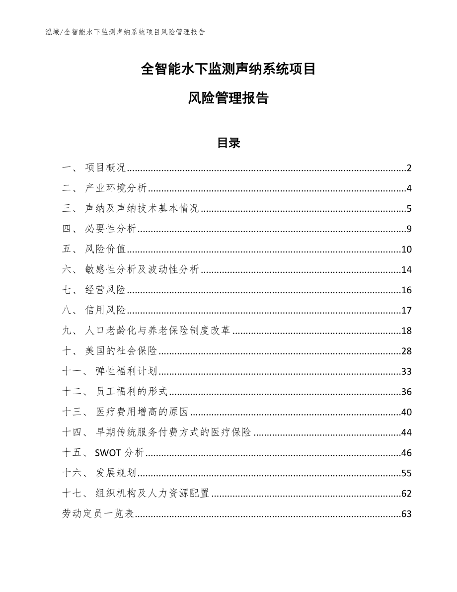 全智能水下监测声纳系统项目风险管理报告_范文_第1页