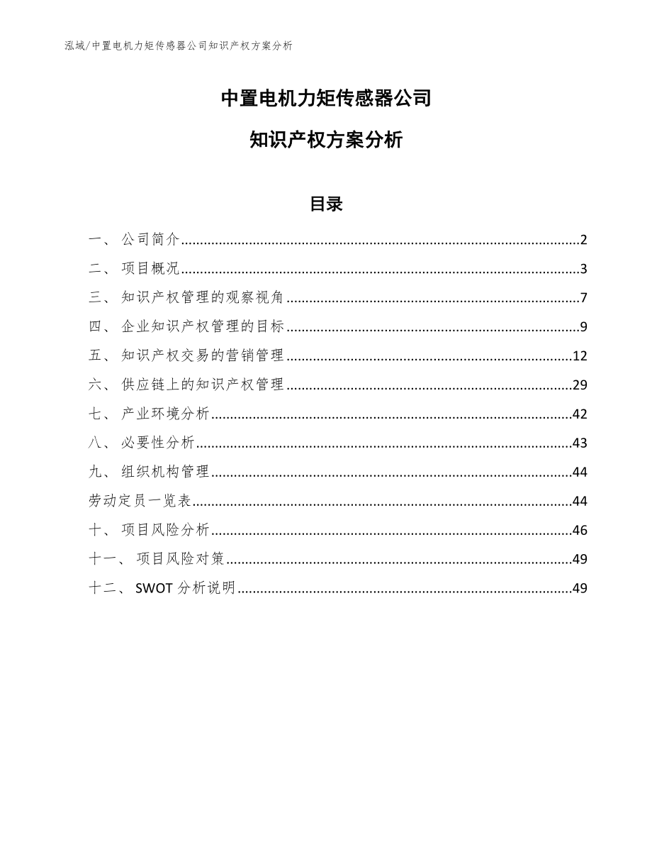 中置电机力矩传感器公司知识产权方案分析_范文_第1页