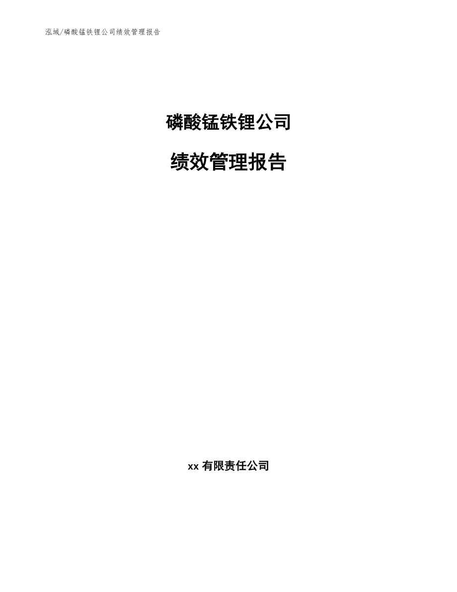 磷酸锰铁锂公司绩效管理报告_第1页