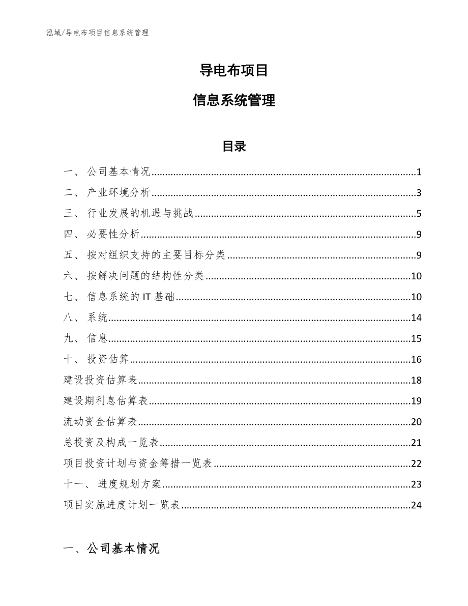 导电布项目信息系统管理（范文）_第1页