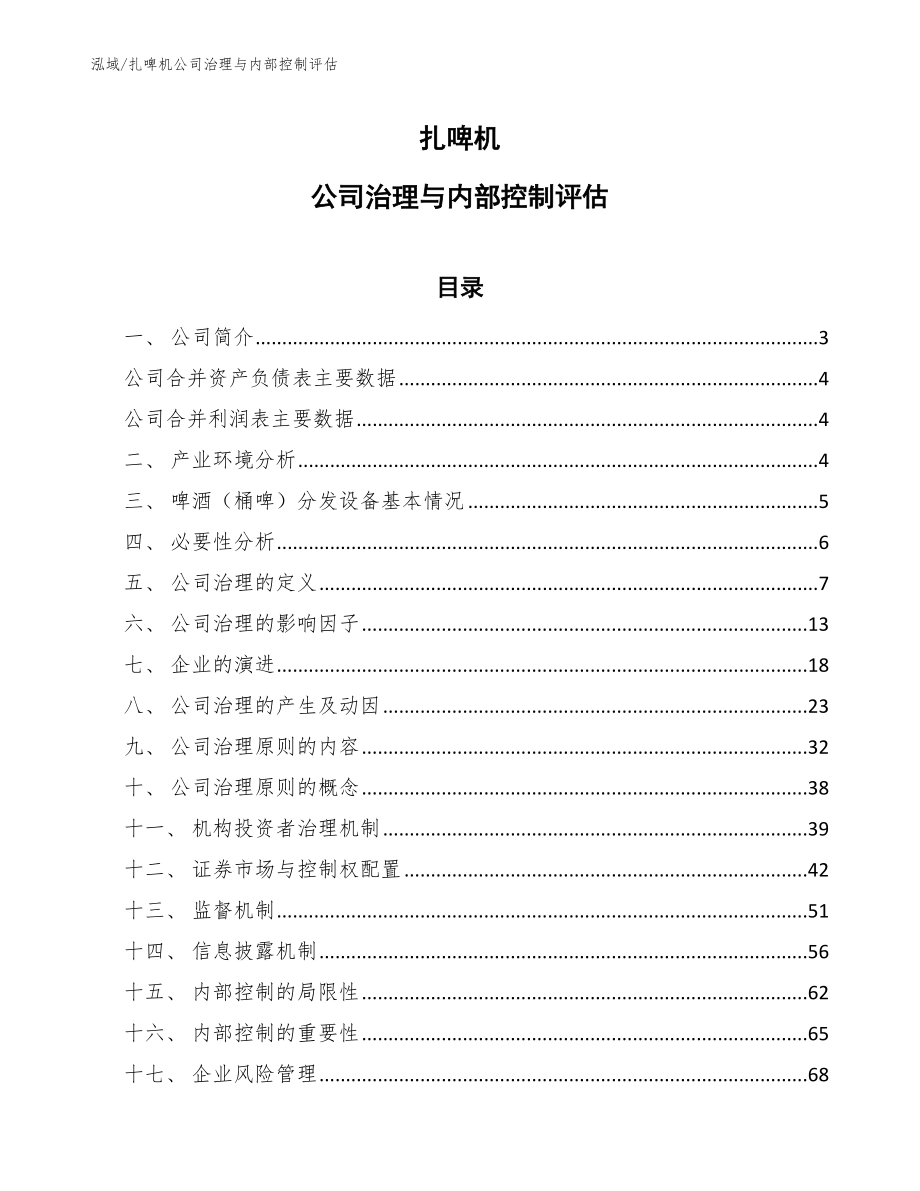 扎啤机公司治理与内部控制评估（范文）_第1页