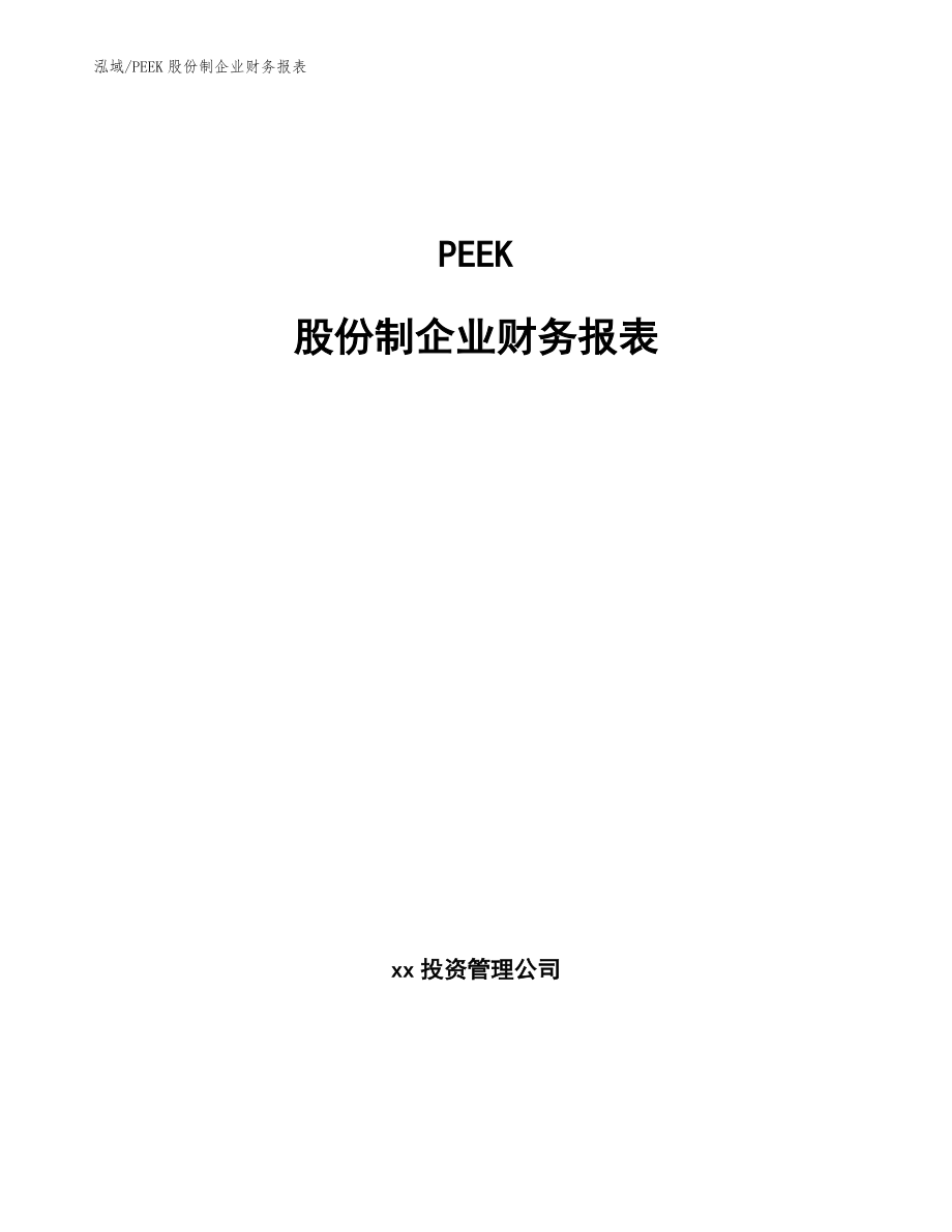 PEEK股份制企业财务报表（范文）_第1页