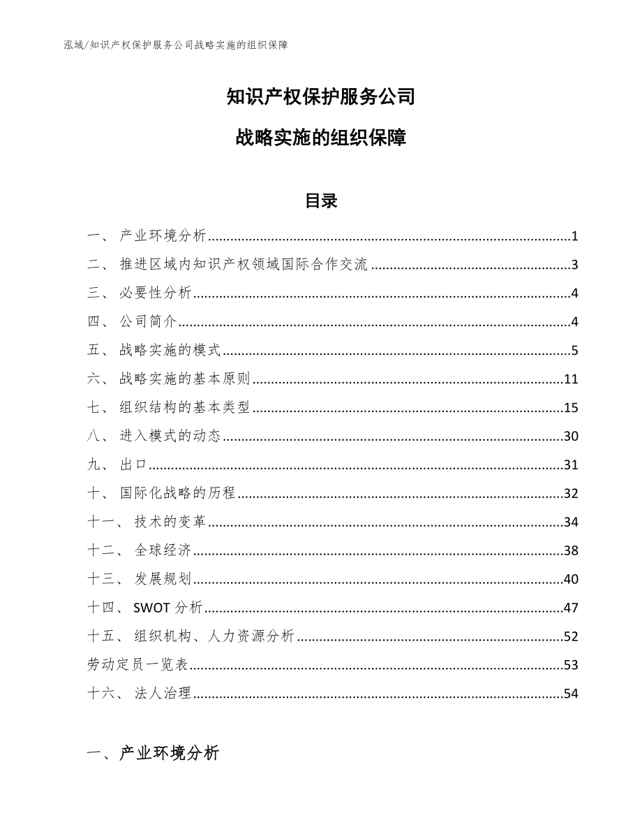 知识产权保护服务公司战略实施的组织保障【范文】_第1页