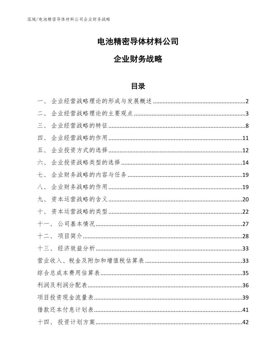 电池精密导体材料公司企业财务战略（参考）_第1页