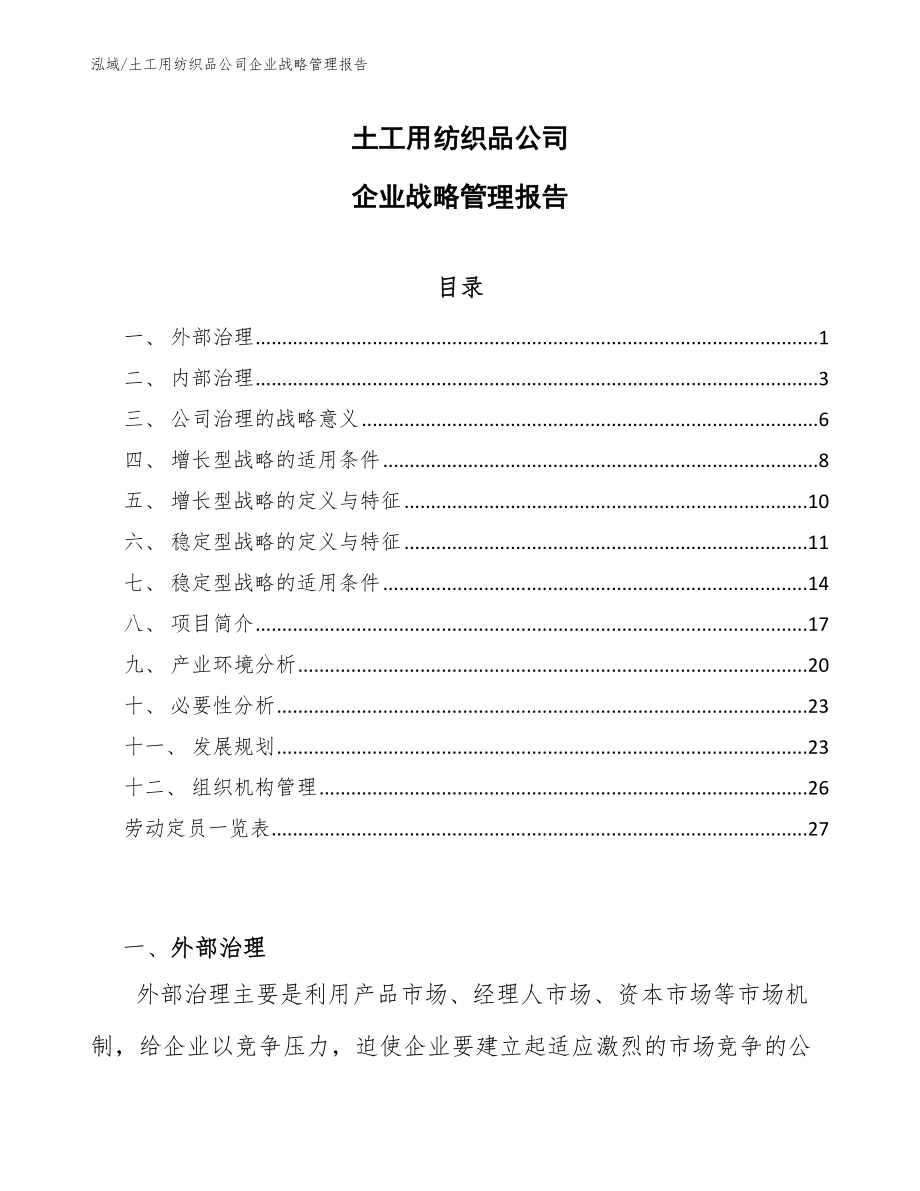 土工用纺织品公司企业战略管理报告【范文】_第1页