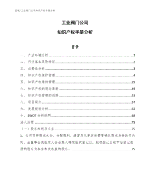 工业阀门公司知识产权手册分析【范文】