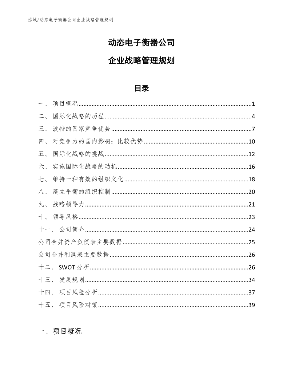 动态电子衡器公司企业战略管理规划_第1页