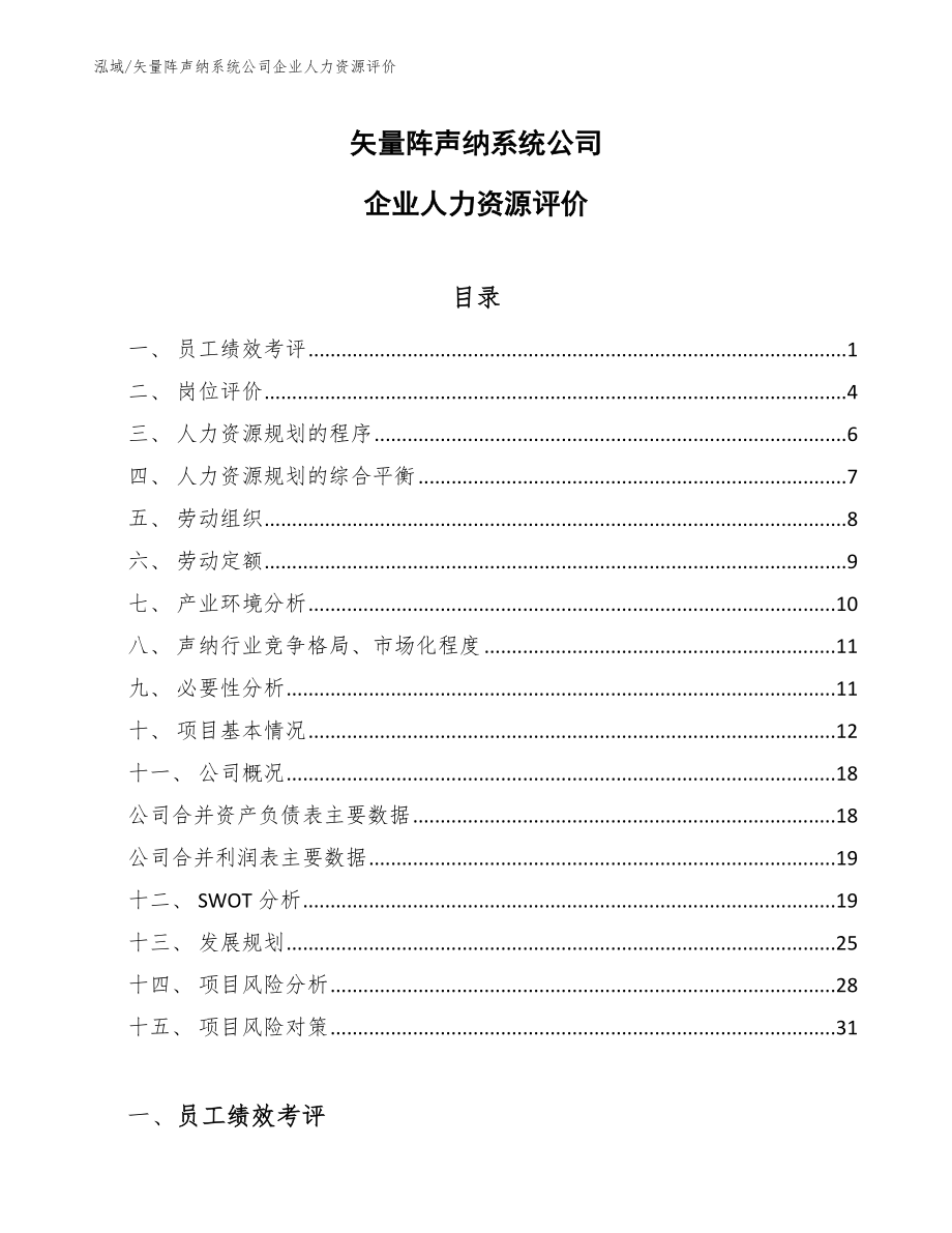 矢量阵声纳系统公司企业人力资源评价_第1页