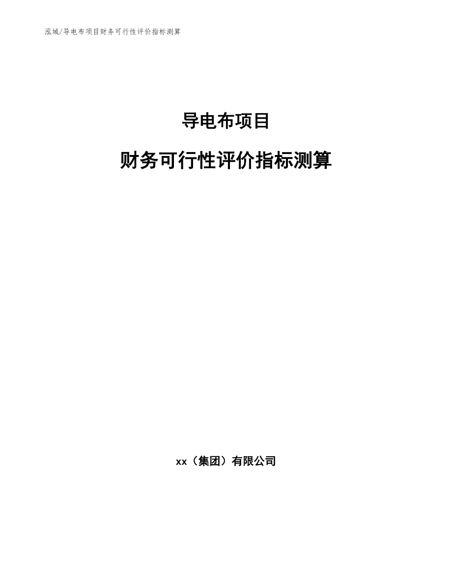 导电布项目财务可行性评价指标测算【参考】_第1页