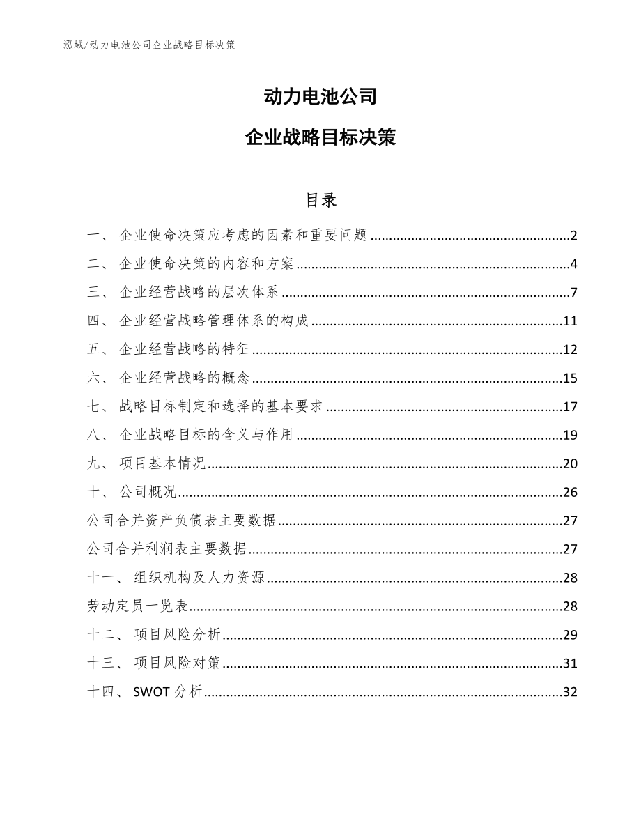 动力电池公司企业战略目标决策【参考】_第1页