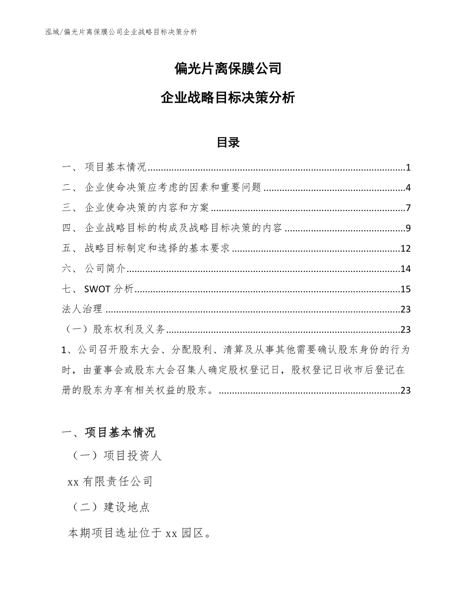 偏光片离保膜公司企业战略目标决策分析_第1页