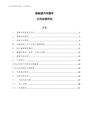 新能源汽车整车公司治理评估_范文