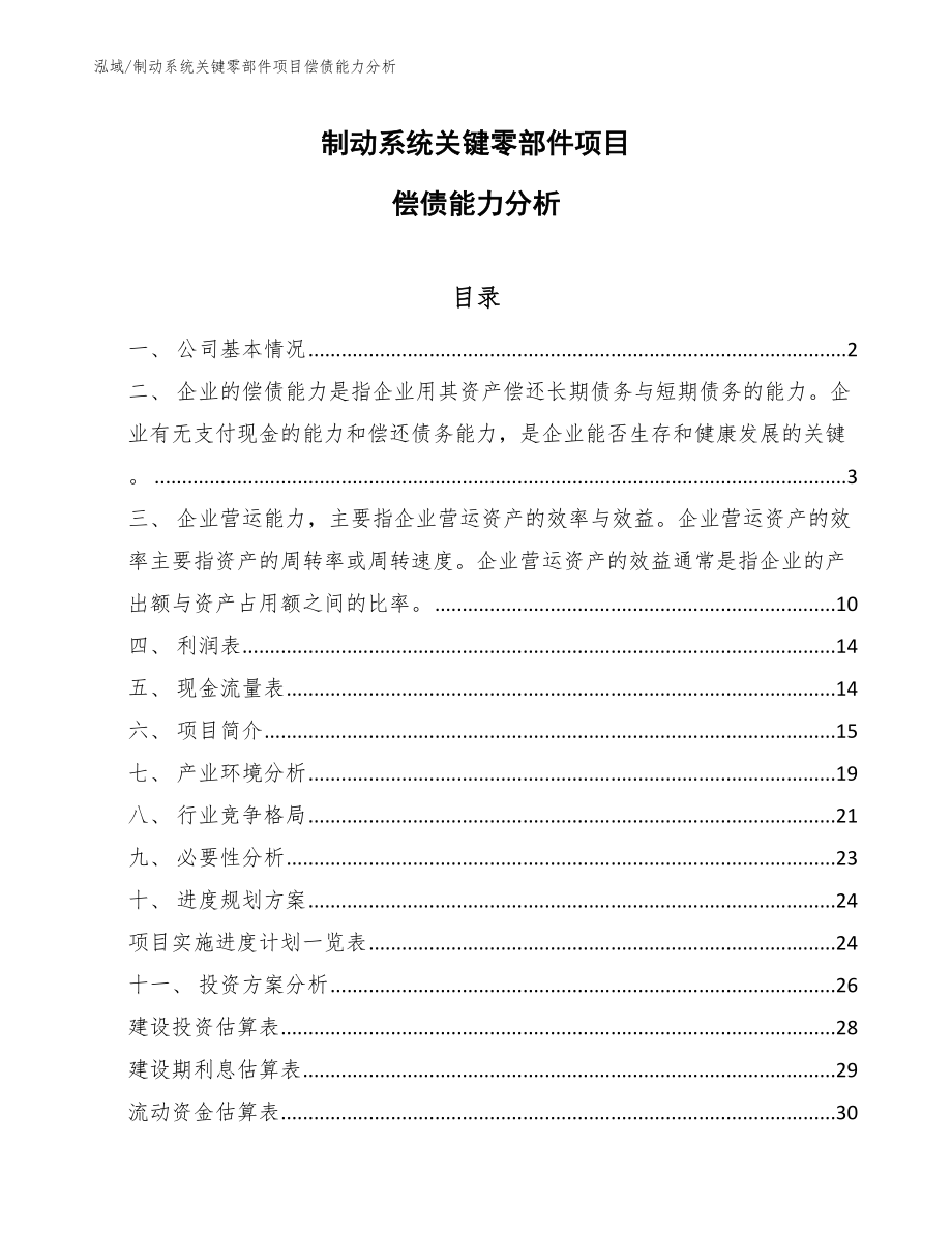 制动系统关键零部件项目偿债能力分析_参考_第1页