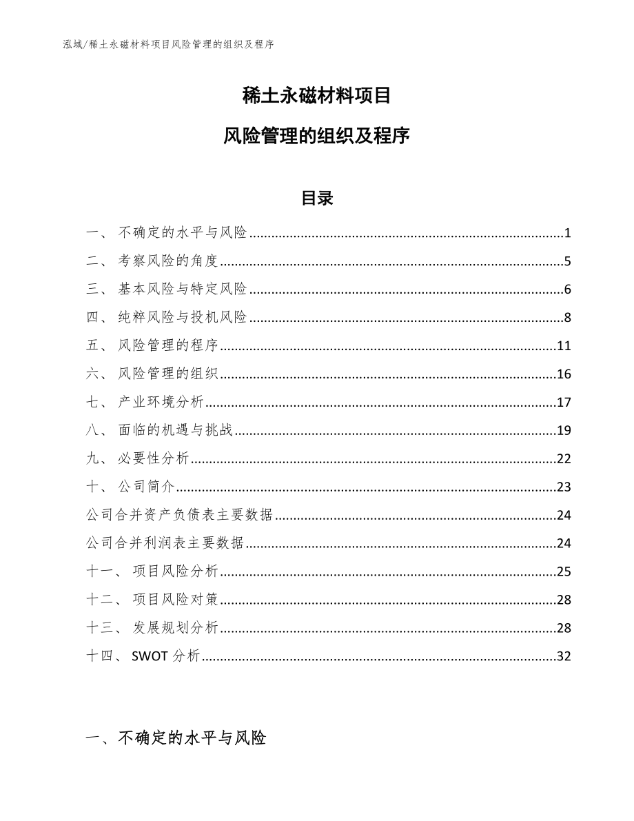 稀土永磁材料项目风险管理的组织及程序_第1页