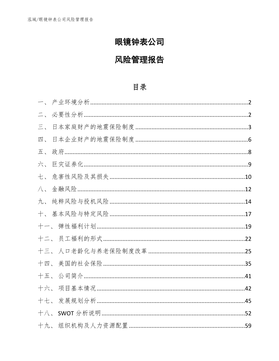 眼镜钟表公司风险管理报告【范文】_第1页