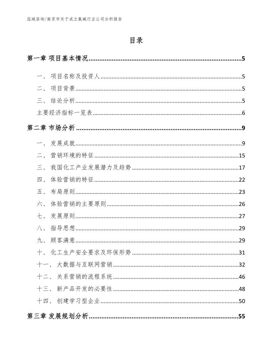 南京市关于成立氯碱行业公司分析报告范文参考_第1页
