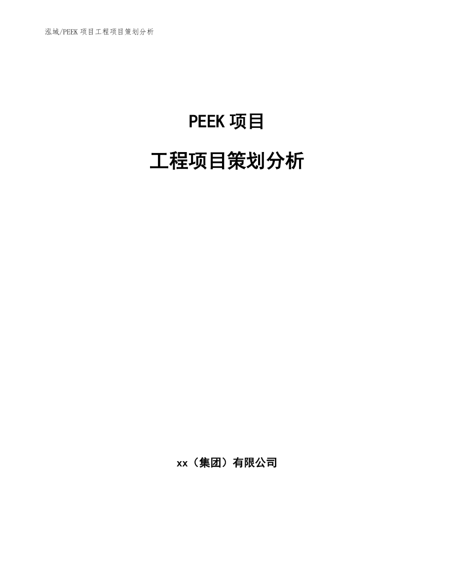 PEEK项目工程项目策划分析（参考）_第1页