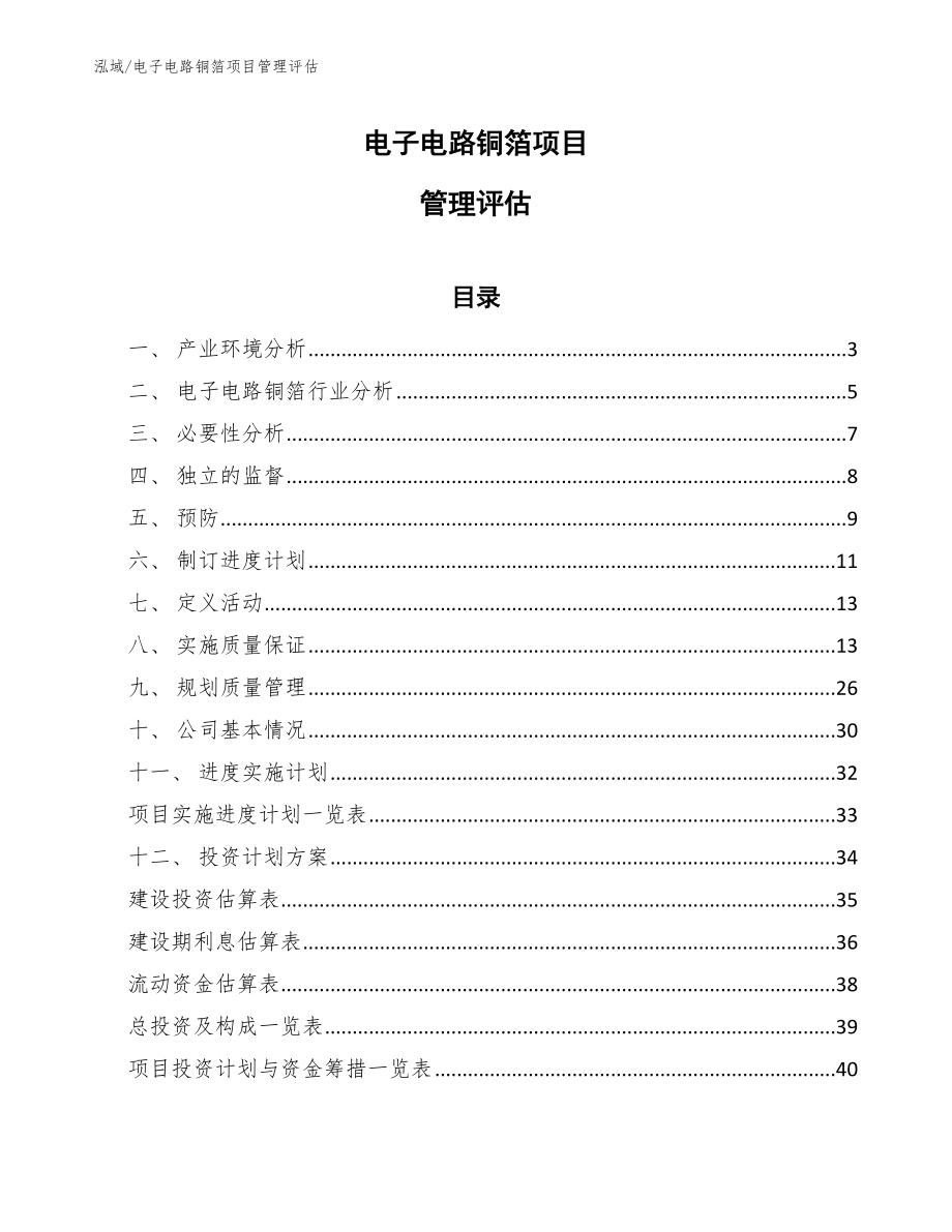 电子电路铜箔项目管理评估【参考】_第1页