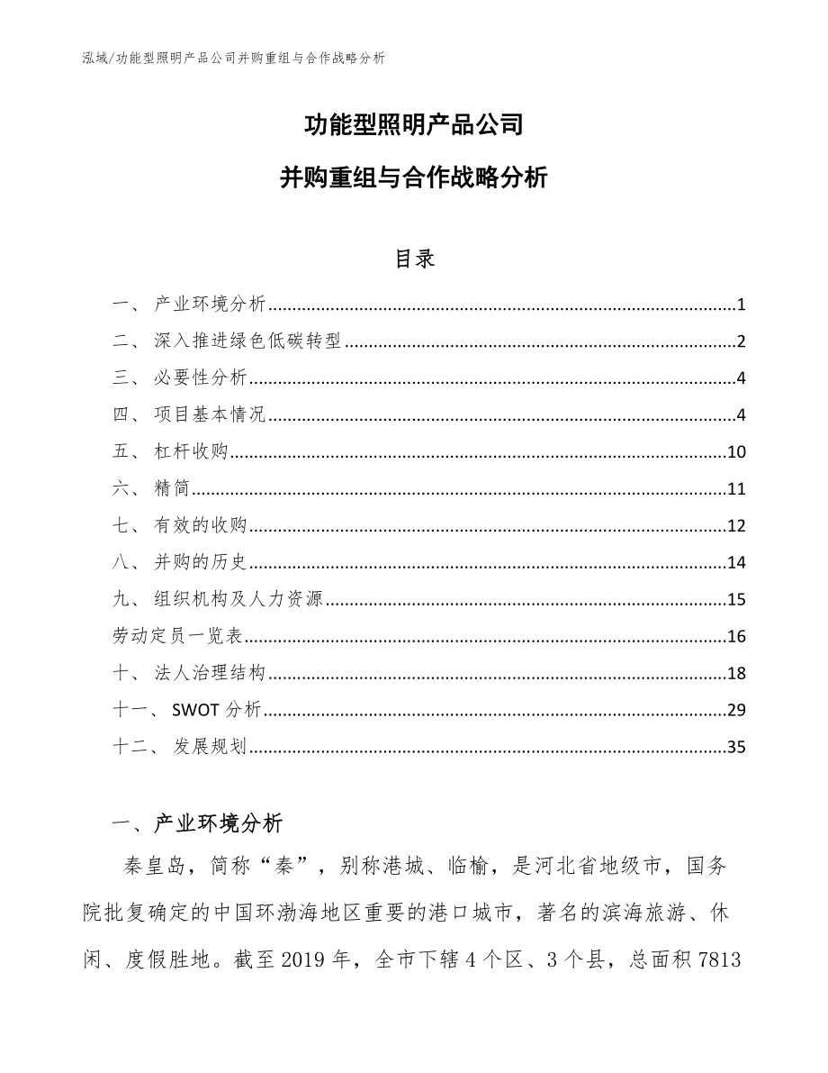 功能型照明产品公司并购重组与合作战略分析（范文）_第1页