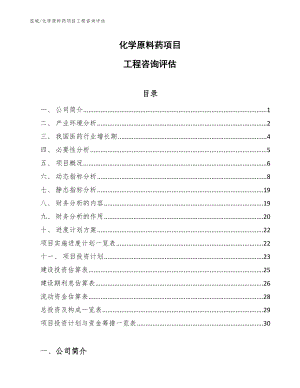 化学原料药项目工程咨询评估【范文】