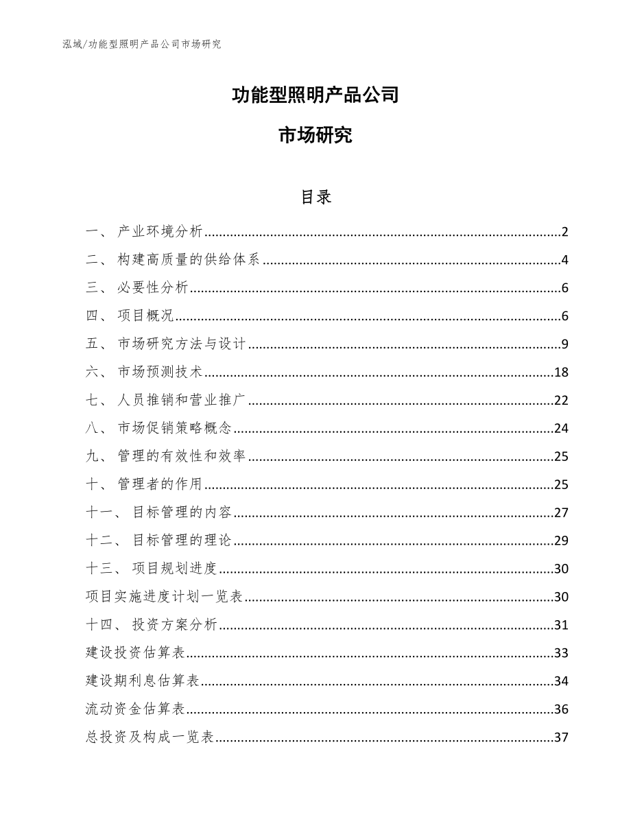 功能型照明产品公司市场研究_范文_第1页