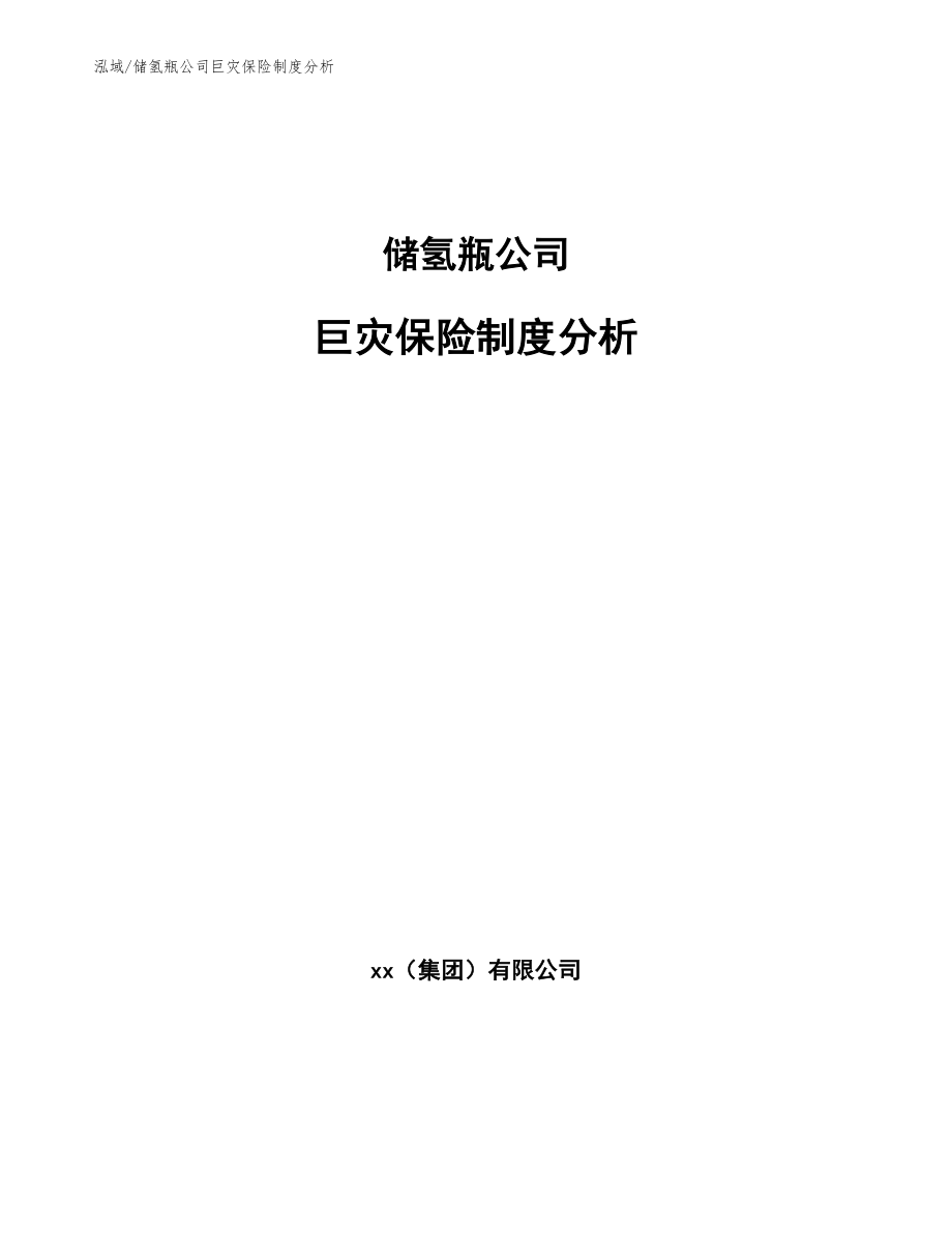 储氢瓶公司巨灾保险制度分析_范文_第1页