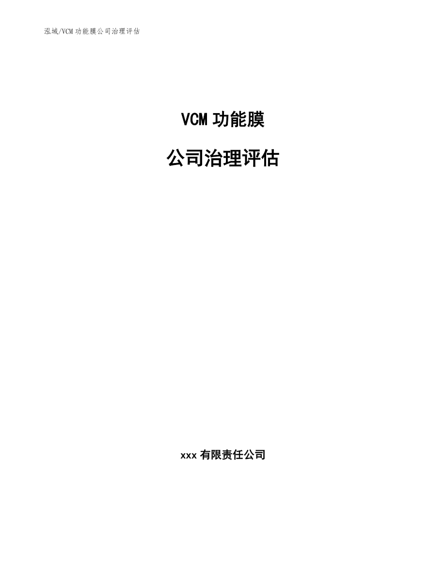 VCM功能膜公司治理评估_范文_第1页