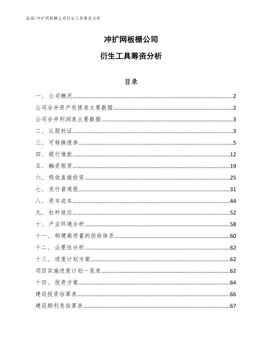 冲扩网板栅公司衍生工具筹资分析_第1页