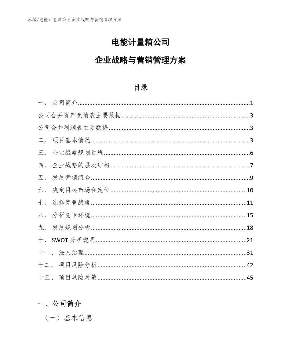 电能计量箱公司企业战略与营销管理方案【范文】_第1页