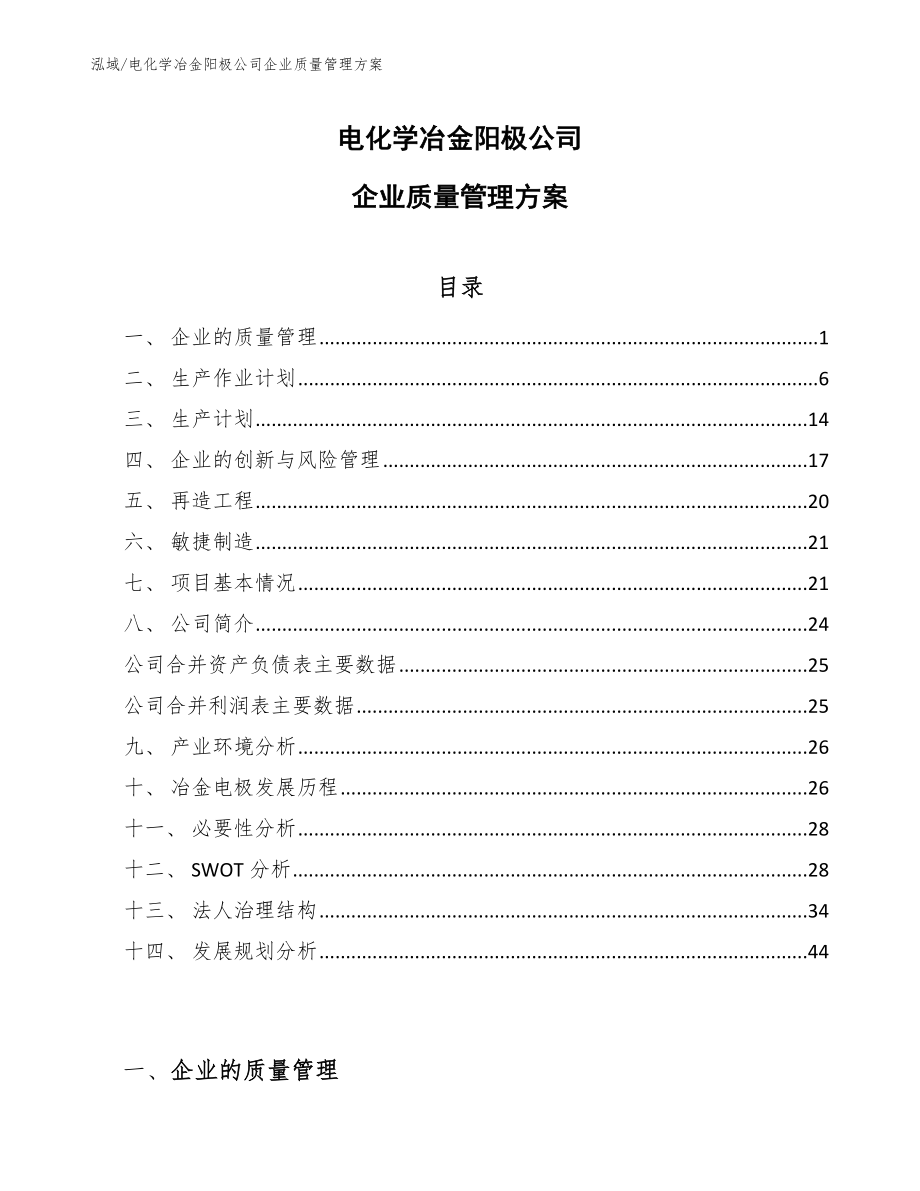 电化学冶金阳极公司企业质量管理方案（范文）_第1页