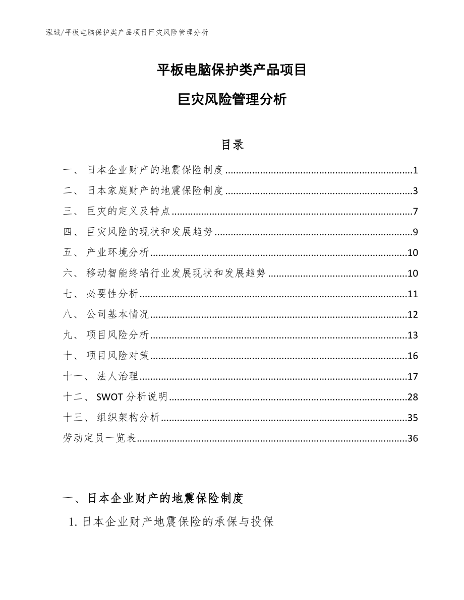 平板电脑保护类产品项目巨灾风险管理分析（范文）_第1页