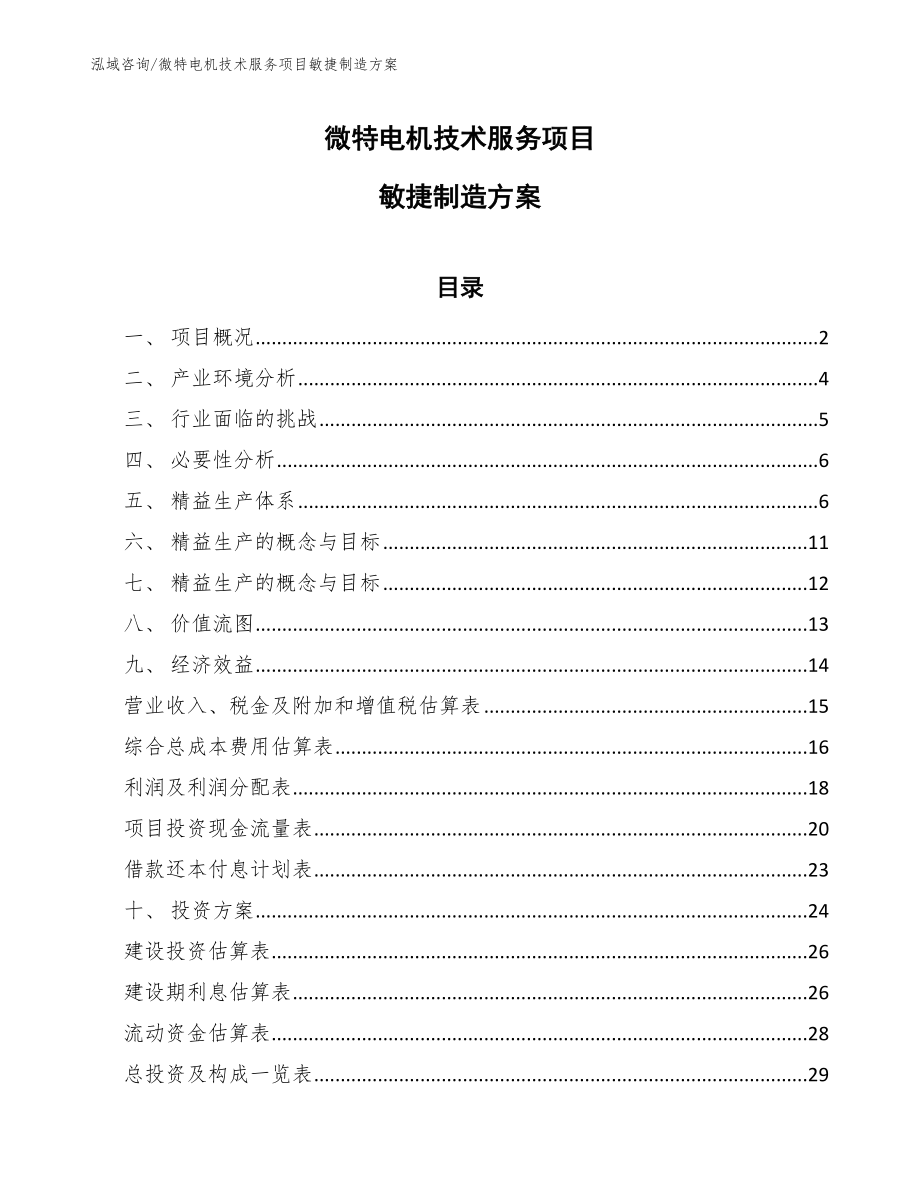 微特电机技术服务项目敏捷制造方案（范文）_第1页