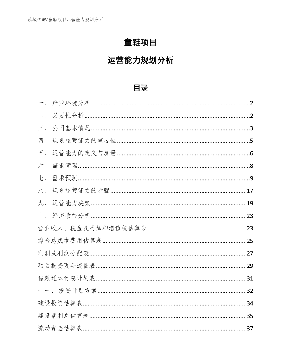 童鞋项目运营能力规划_范文_第1页