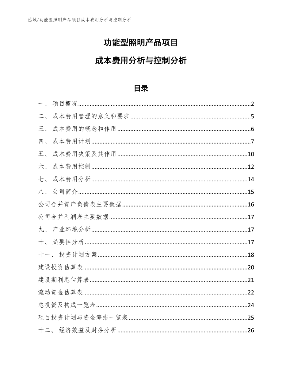 功能型照明产品项目成本费用分析与控制分析【参考】_第1页