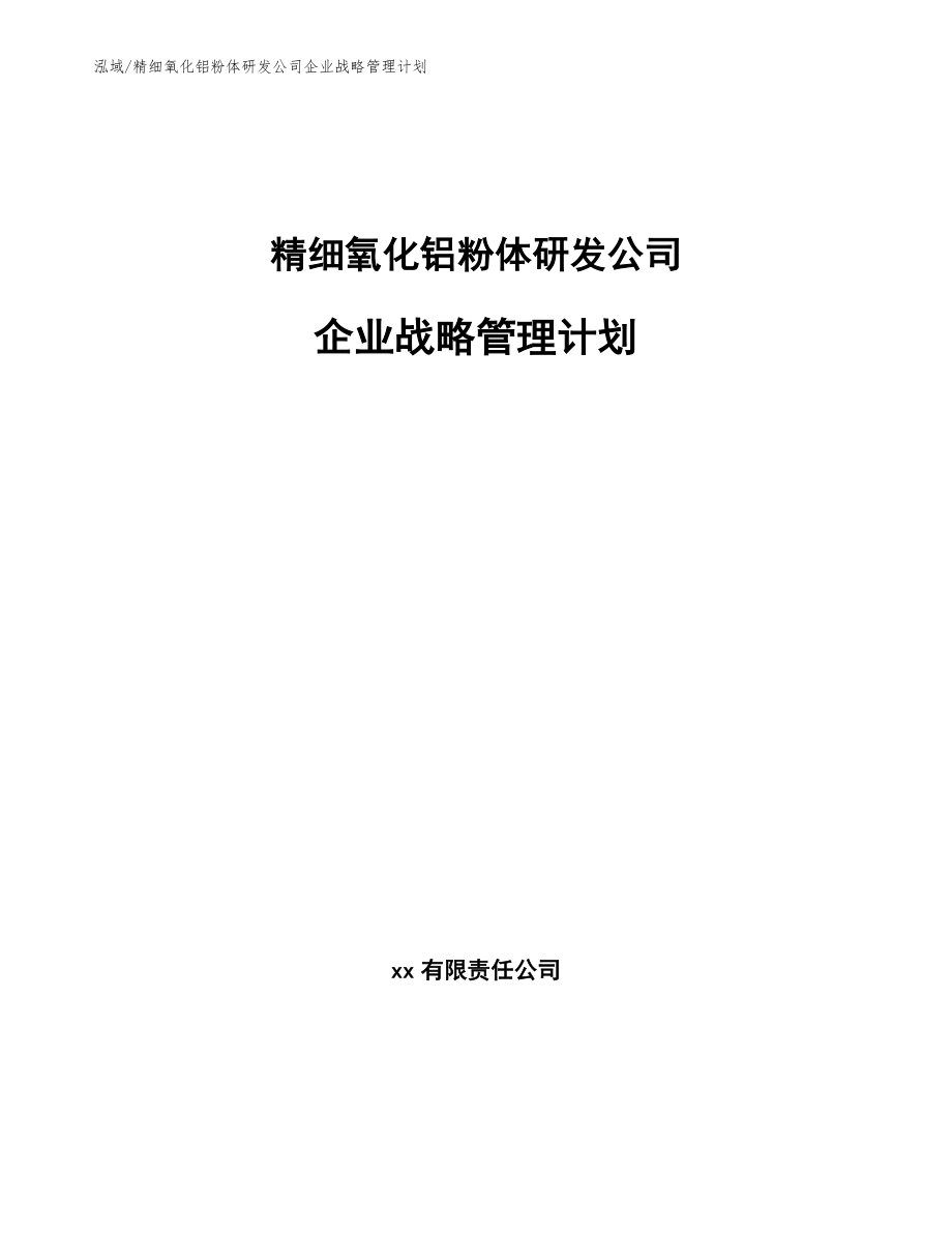 精细氧化铝粉体研发公司企业战略管理计划_第1页