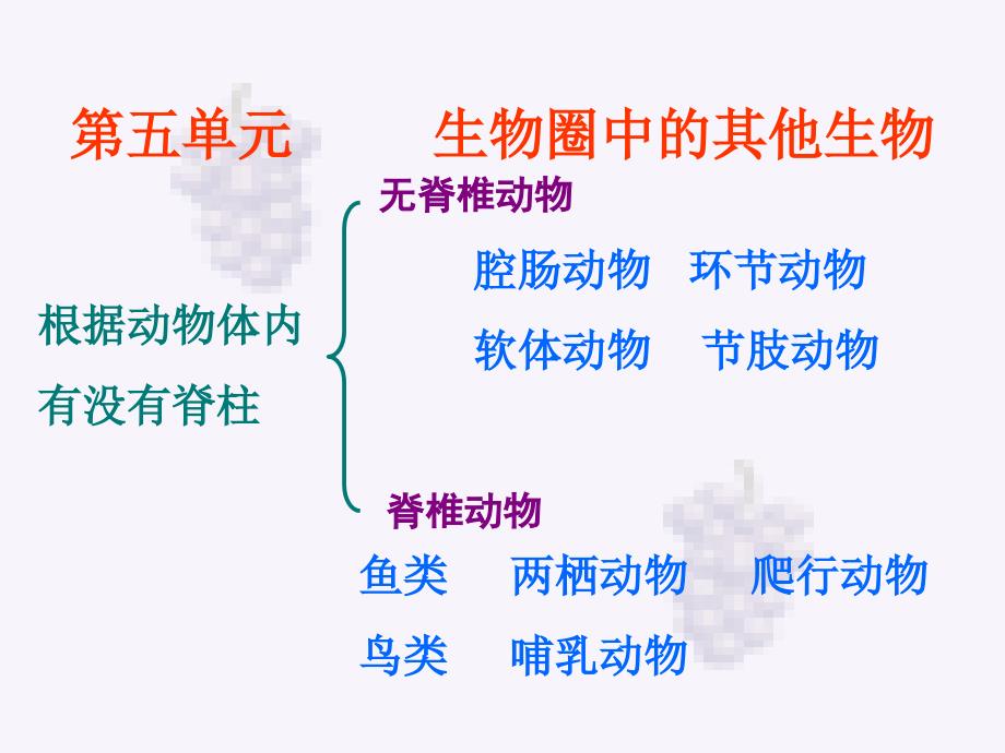 生物上册总复习课件人教版_第1页