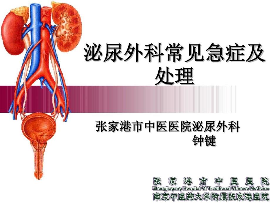 泌尿外科常见急症及处理要点课件_第1页