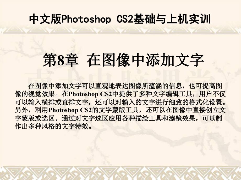 中文版Photoshop CS2与上机实训 第08章在图像中添加文字_第1页