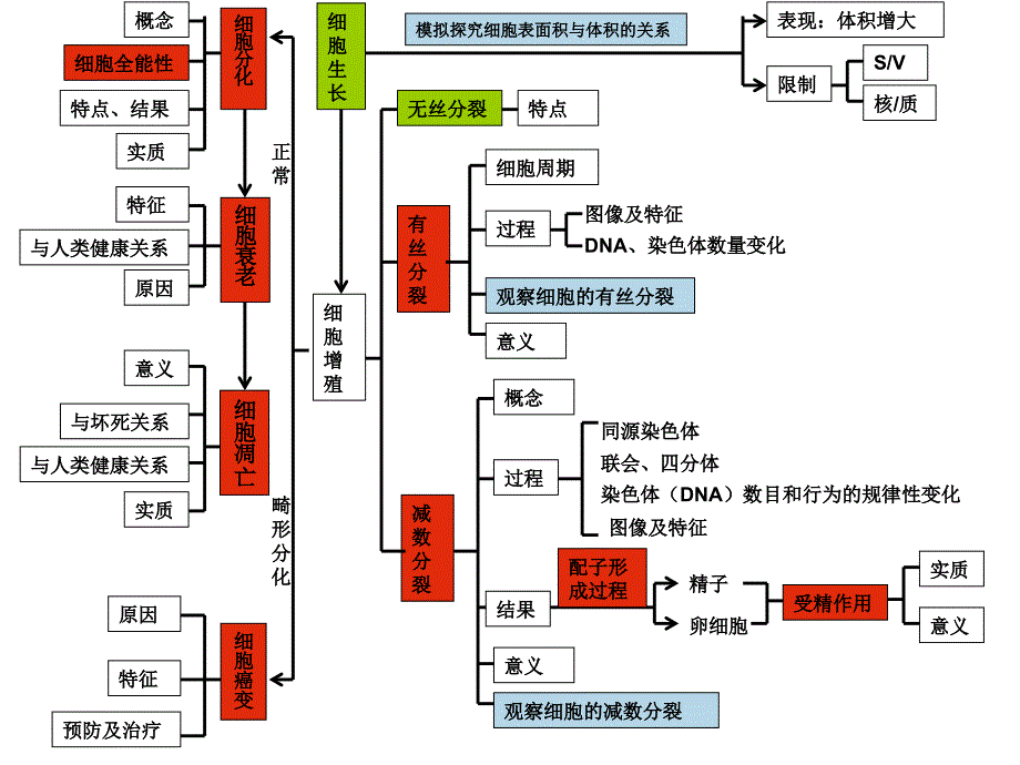 细胞的生命历程和遗传的细胞学基础(赵老师)_第1页