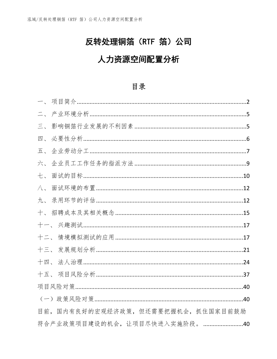 反转处理铜箔（RTF 箔）公司人力资源空间配置分析_第1页