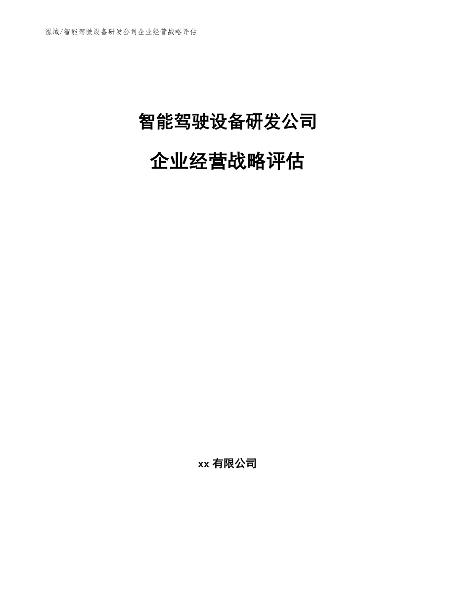 智能驾驶设备研发公司企业经营战略评估_范文_第1页