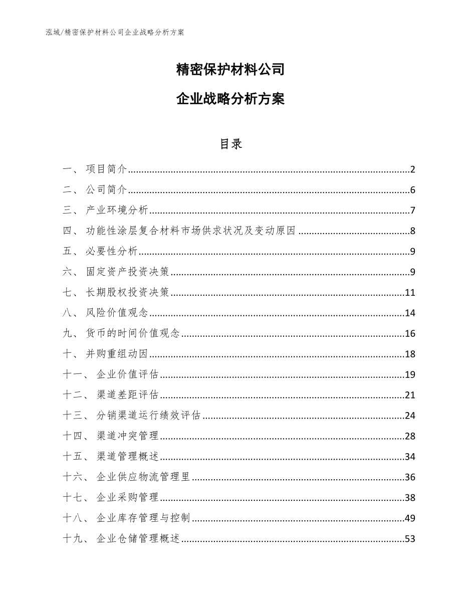 精密保护材料公司企业战略分析方案（范文）_第1页