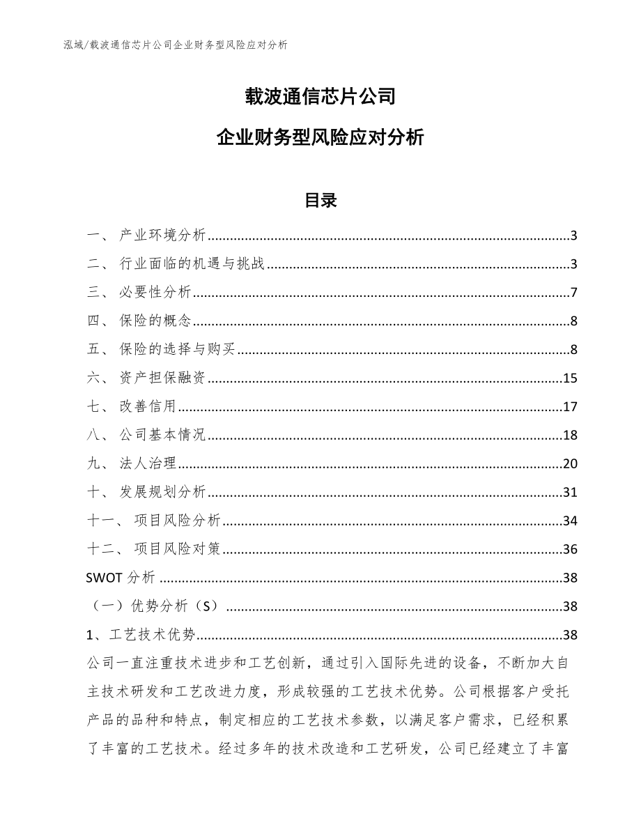 载波通信芯片公司企业财务型风险应对分析_第1页