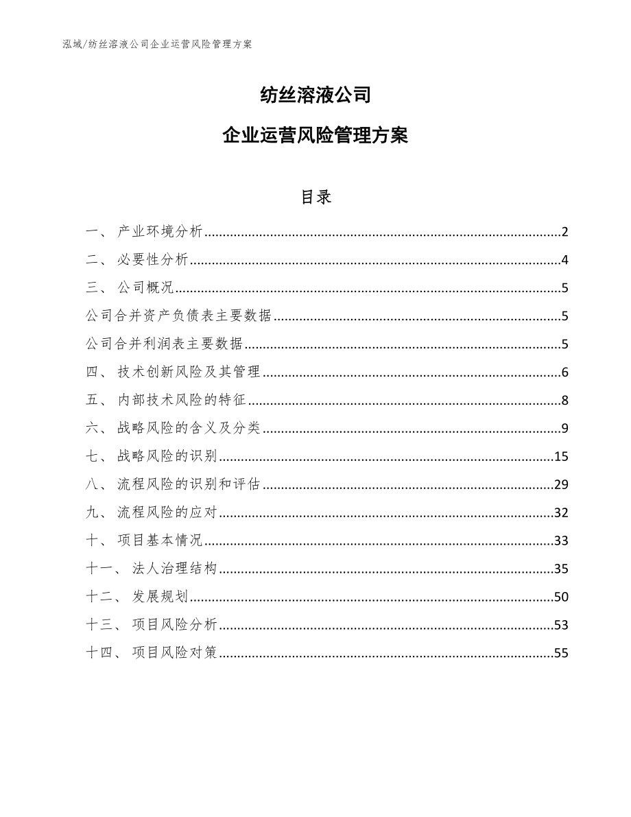 纺丝溶液公司企业运营风险管理方案_第1页